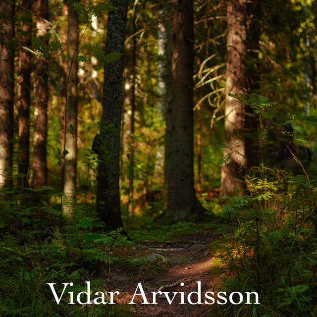Vidar